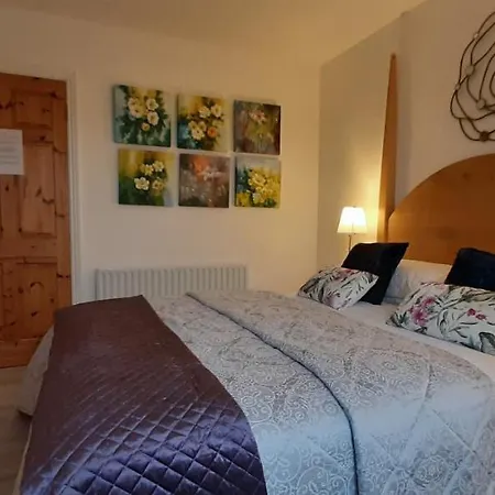 Brandon View House Frühstückspension Graiguenamanagh