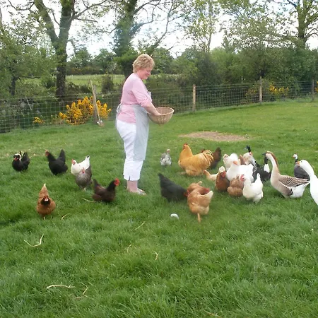 Brandon View House 4* Graiguenamanagh