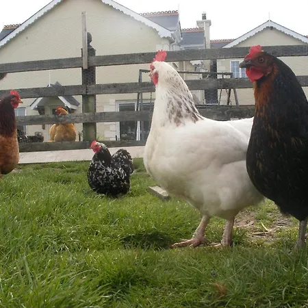 Brandon View House 4*