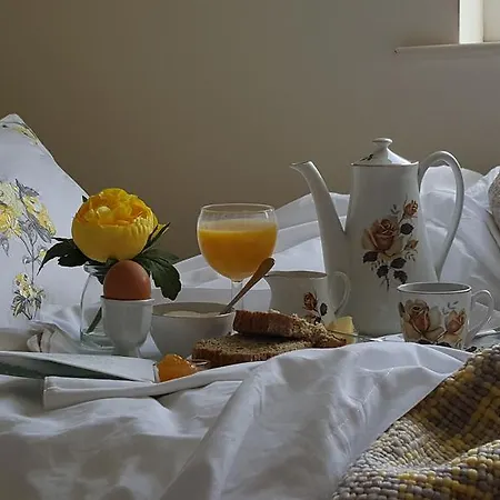 Frühstückspension Brandon View House Graiguenamanagh