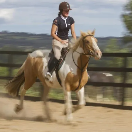 Brandon View House Graiguenamanagh