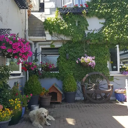 Frühstückspension Brandon View House 4*