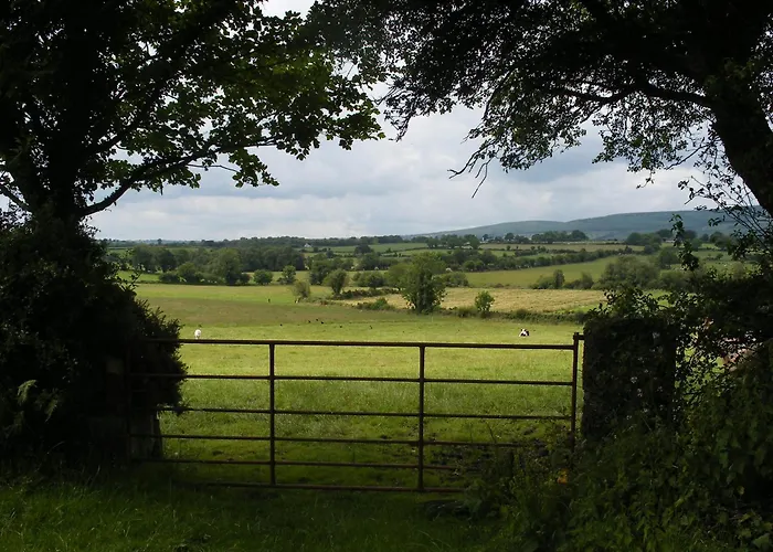 Brandon View House Graiguenamanagh