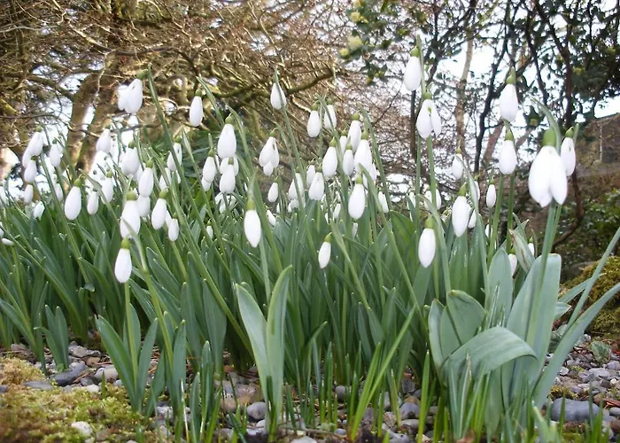 Bed & Breakfast Brandon View House