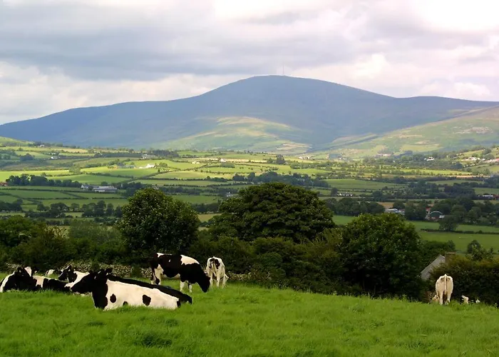 Brandon View House Bed & Breakfast