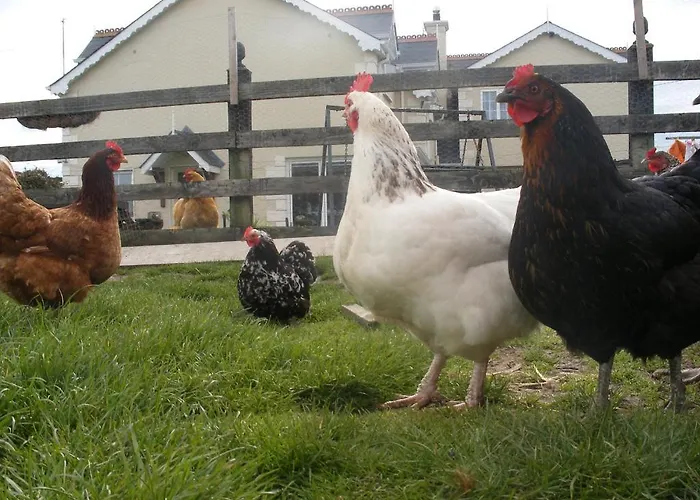 Brandon View House 4*