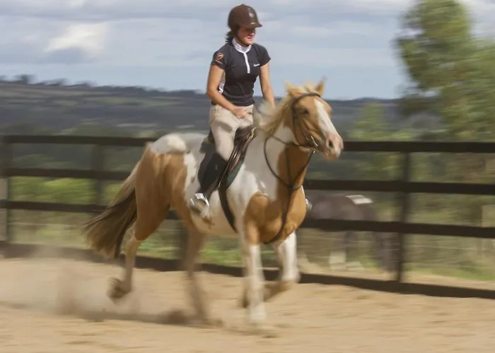 Brandon View House Graiguenamanagh