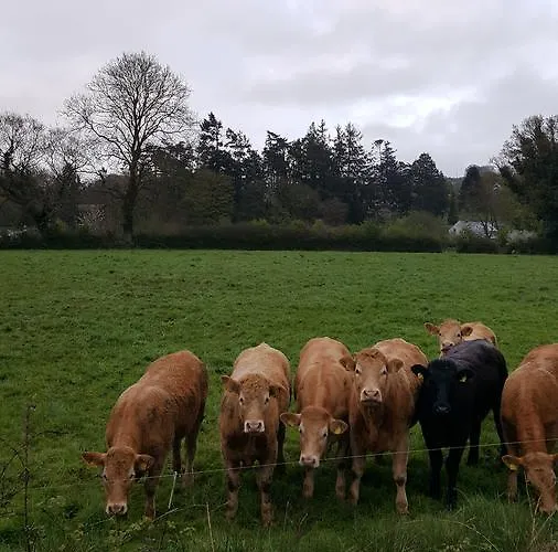 Bed & Breakfast Brandon View House Graiguenamanagh