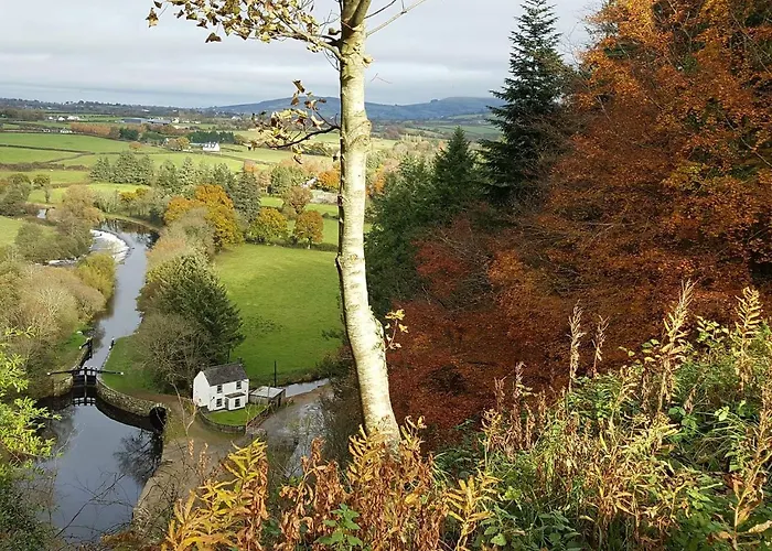 Bed & Breakfast Brandon View House